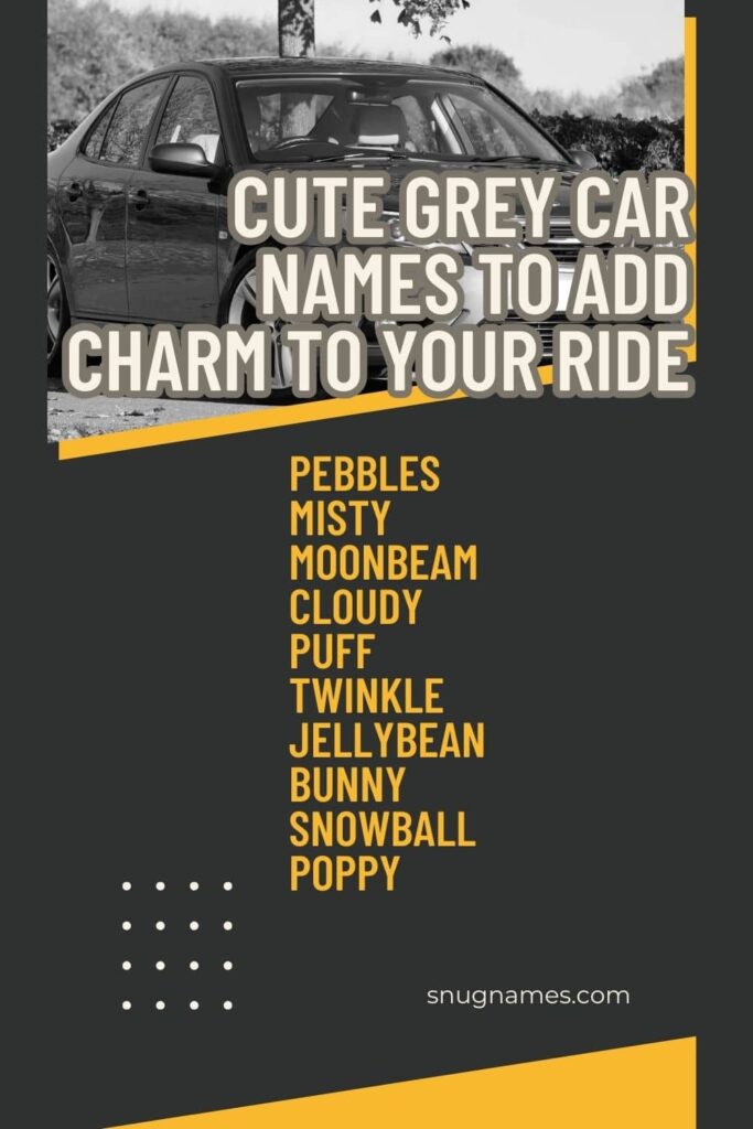 Cute Grey Car Names to Add Charm to Your Ride