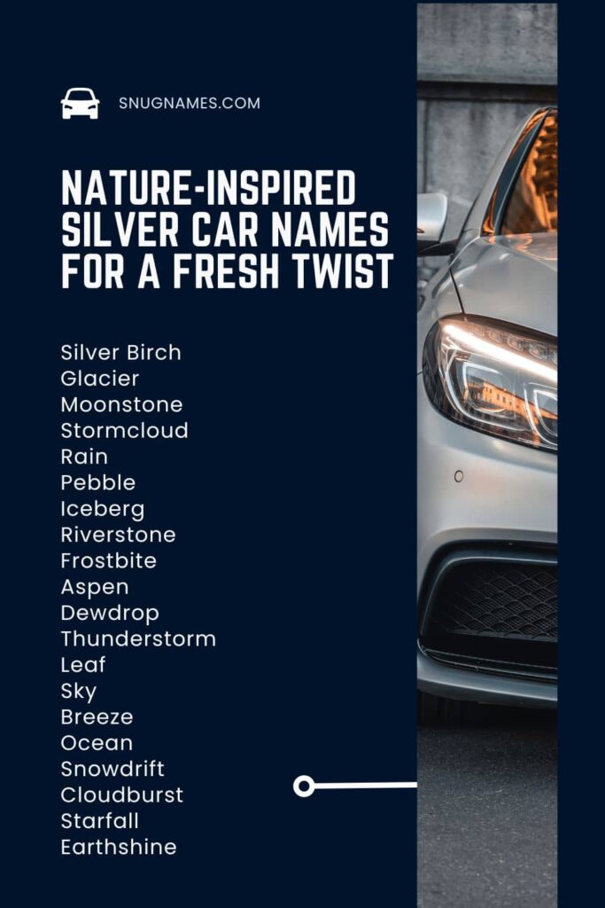 Nature-Inspired Silver Car Names for a Fresh Twist
