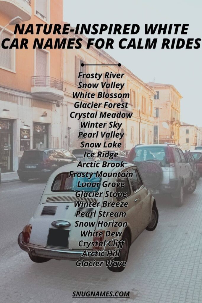 Nature-Inspired White Car Names for Calm Rides