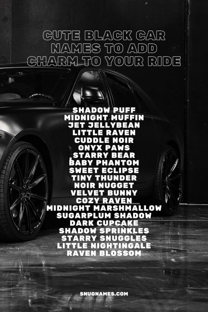 Cute Black Car Names to Add Charm to Your Ride