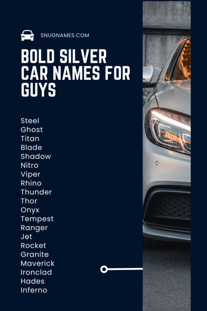Bold Silver Car Names for Guys